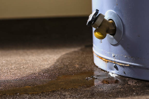 Best Water damage restoration process  in Sublette, KS