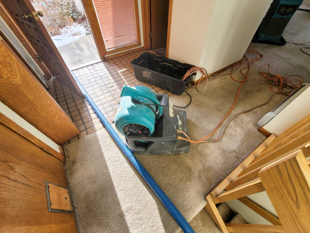 Best Water damage cleanup near me  in Sublette, KS