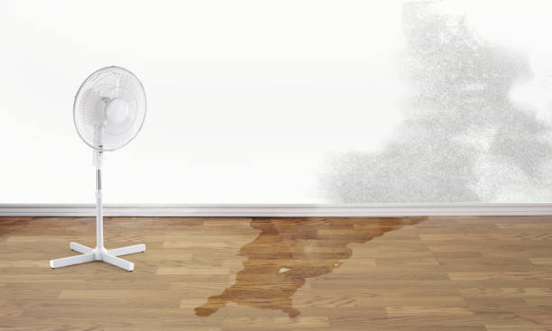 Best Ceiling water damage repair  in Sublette, KS