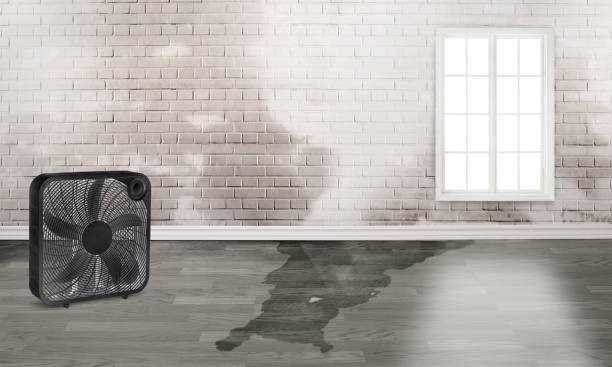 Best Ceiling water damage repair  in Sublette, KS