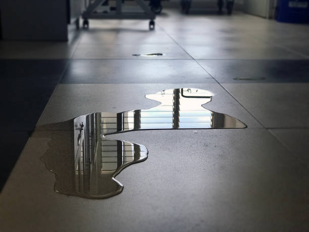 Best Carpet water damage restoration  in Sublette, KS