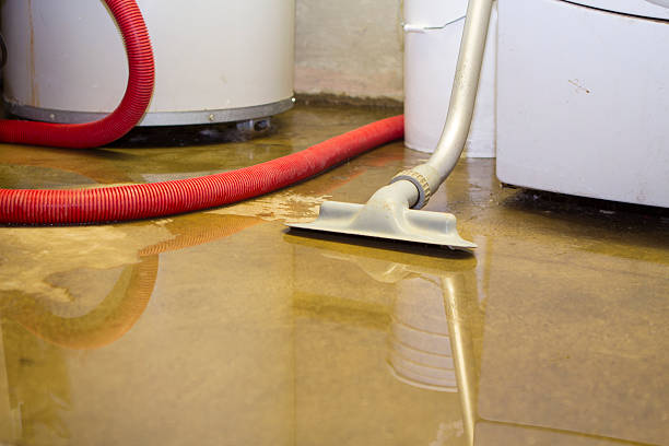Best Local water damage restoration  in Sublette, KS
